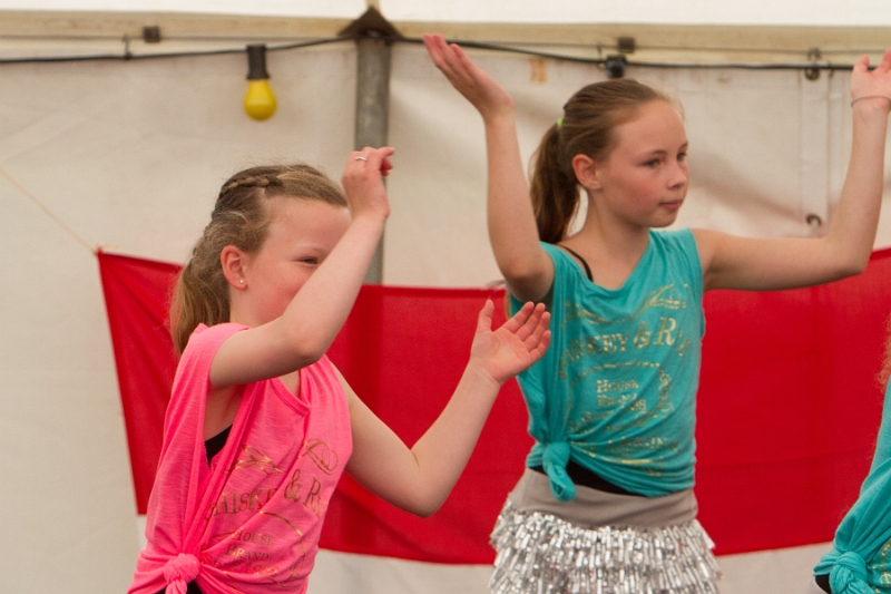 Koningsdag 2014 DC 085.jpg